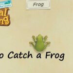 How to catch a frog in Animal Crossing