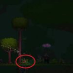 How to Catch Mystic Frog in Terraria