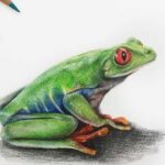 Step-by-step guide on how to draw a realistic frog