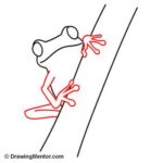 Easy Steps to Draw a Tree Frog – Learn How to Draw a Tree Frog