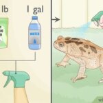 Tips for eliminating Cuban tree frogs