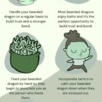 How to Know If Your Bearded Dragon Trusts You