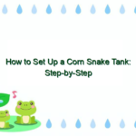 How to Set Up a Corn Snake Tank: Step-by-Step Guide