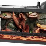 Importance of Heat Lamps for Bearded Dragons at Night