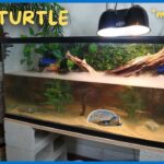 Mud Turtle Tank Setup: A Complete Guide for Beginners