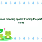 Names meaning spider: Finding the perfect name for your arachnid-inspired friend