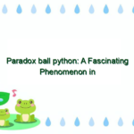 Paradox ball python: A Fascinating Phenomenon in Reptile Breeding
