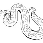 Snake Coloring Picture