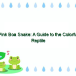 Pink Boa Snake: A Guide to the Colorful Reptile