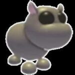 Poison Dart Frog Adopt Me – Everything You Need to Know