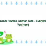 Smooth Fronted Caiman Size – Everything You Need to Know