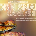 Snake Nutritional Needs: Extracting Nutrients from Corn