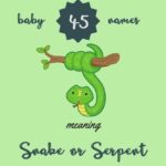 Snake Related Names – Creative Ideas for Naming Your Pet Snake