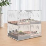 Terrariums for Snakes | The Ultimate Guide to Snake Enclosures