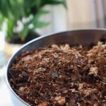 Choosing the Best Terrarium Substrate for Your Reptile