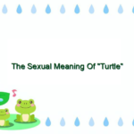 The Sexual Meaning Of “Turtle”