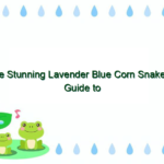 The Stunning Lavender Blue Corn Snake: A Guide to This Beautiful Reptile