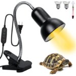 Choosing the Best Timed Heat Lamps for Your Needs – Expert Tips