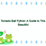 Tornado Ball Python: A Guide to This Beautiful Morph