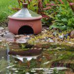 Discover the Fascinating World of Frog Houses: Everything You Need to Know