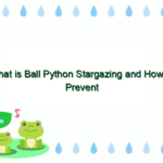 What is Ball Python Stargazing and How to Prevent It