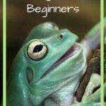 Choosing the Perfect Pet Frog for Your Home: A Guide to the Best Species