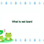 What to eat lizard