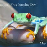 When is national frog day